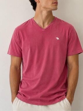 Abercrombie & Fitch Vintage Red V-Neck Moose Tee - Size S